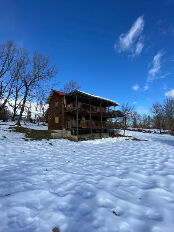 KoutsodímosTraditional Wooden Apartment的雪地里的房屋