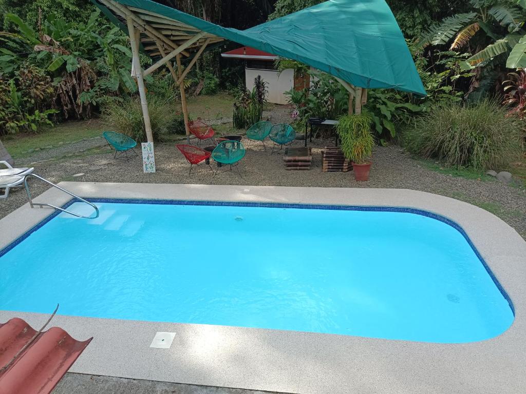 奎波斯城Selva Linda Lodge vacation rentals的蓝色游泳池配有椅子和遮阳伞