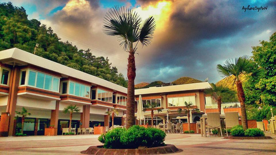 伊兹密尔巴科瓦温泉酒店的一座建筑前的棕榈树