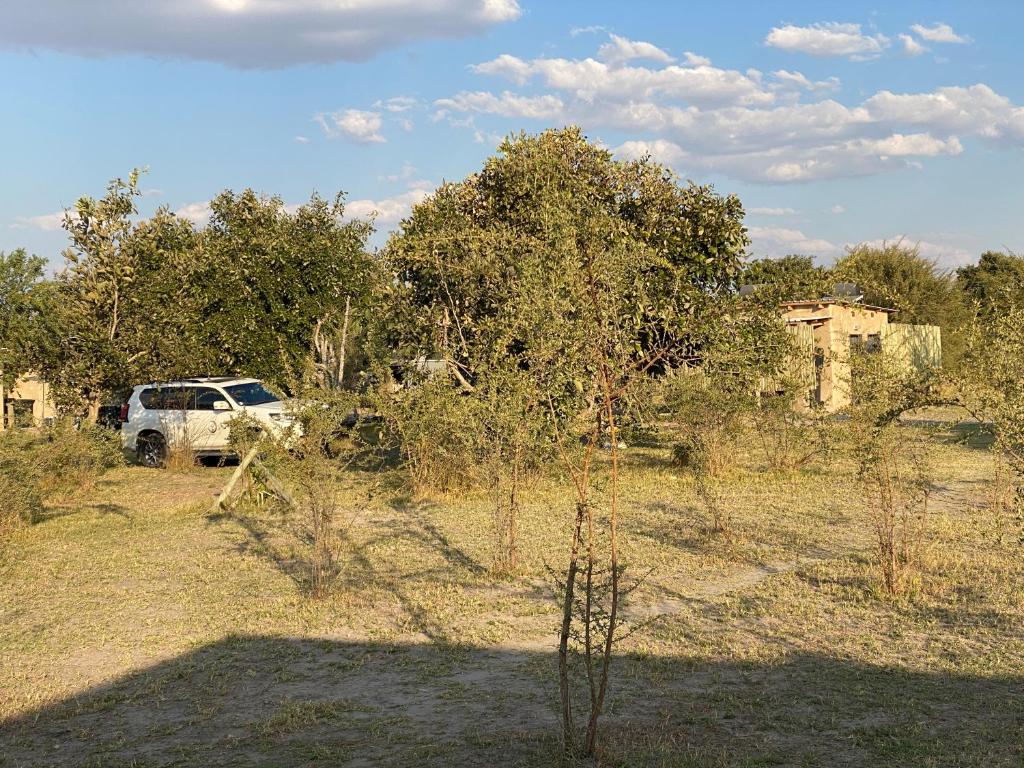 MababeMababe River Campsite的停在树木林立的田野上的白色卡车