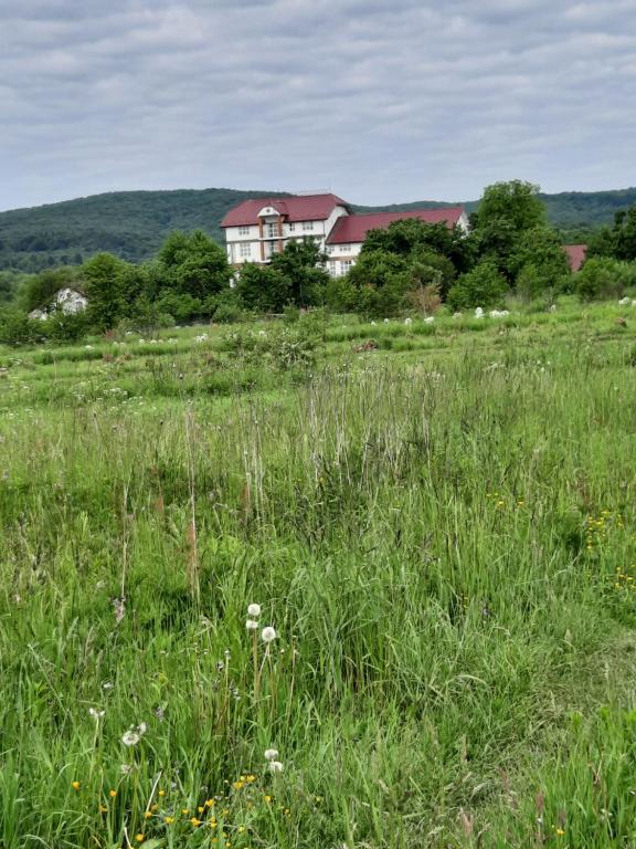 LyubintsyВілла Сади Єви的一片大片草场,有房子在后面
