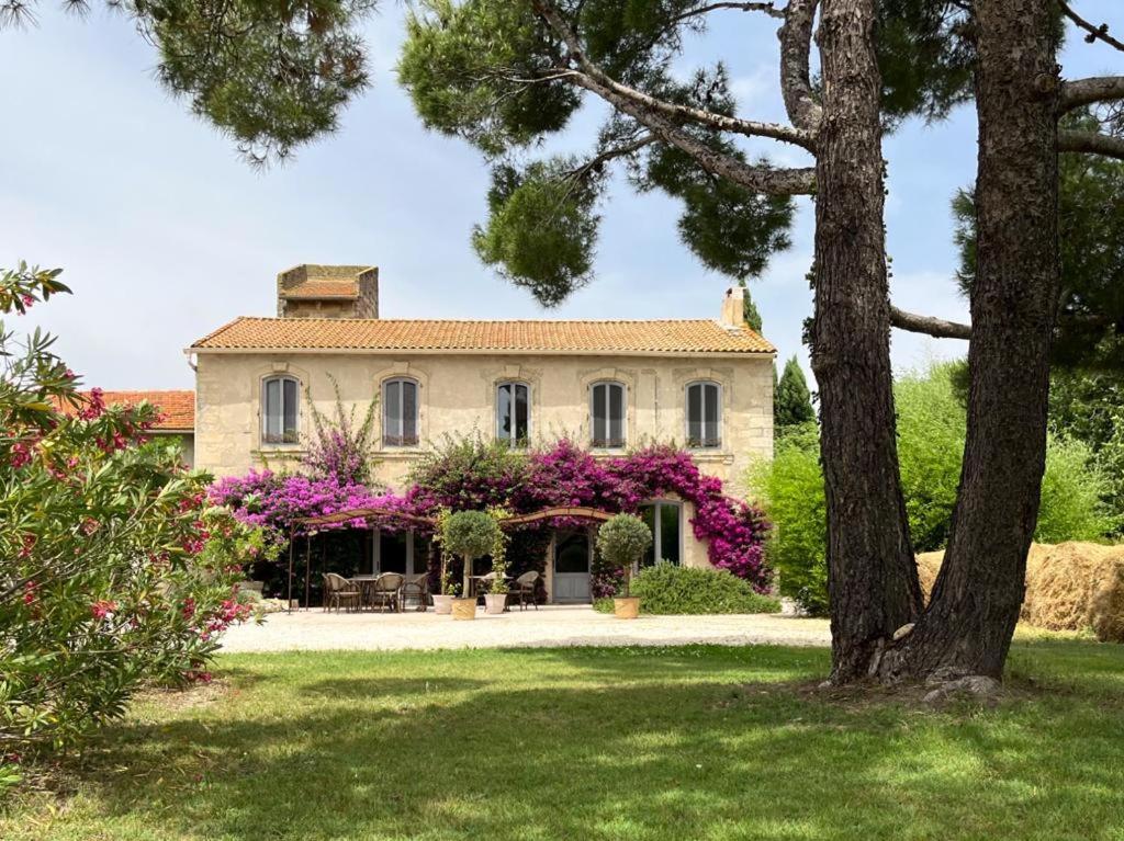 阿尔勒Maison Tara verte au Mas Montredon的一座大房子,在院子里种着紫色的鲜花