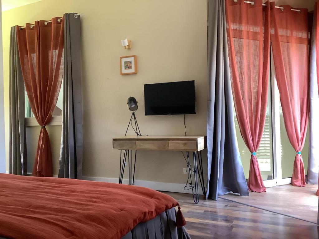 昂特尔德LE JARDIN D'HILAIRE的一间卧室配有一张床和一张书桌上的电视