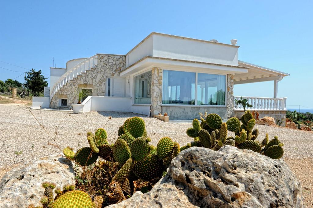 莱乌卡Villa Vanissia的海滩上的房子前面有仙人掌
