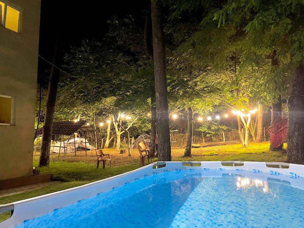 谢赫维蒂利Mai Shekvetili的夜间在院子里的大型游泳池