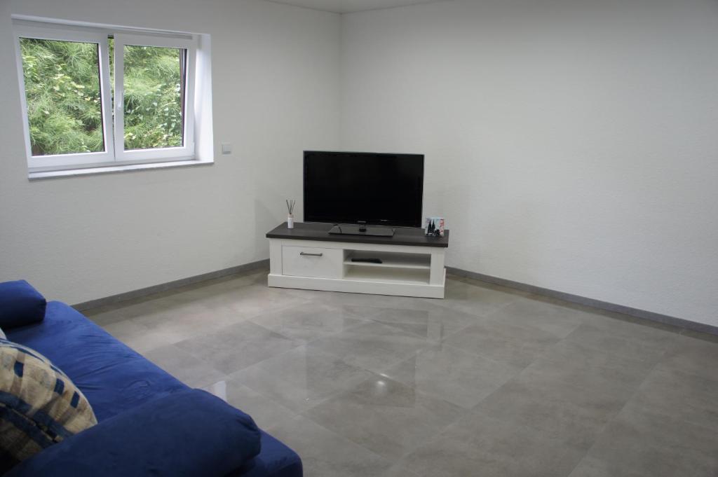 维勒斯威特2- Zimmer-Wohnung的客厅配有蓝色的沙发和平面电视。