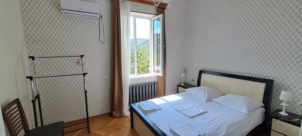 西格纳吉皮洛斯曼尼60号旅馆的一间带床的卧室,位于带窗户的房间内