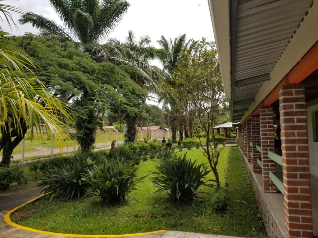 SiguatepequeHotel Estancia del Bosque Forest Guest House的棕榈树屋外的院子