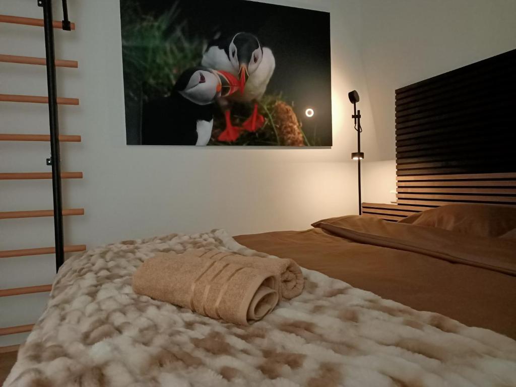 雷克雅未克Puffin Nest, Superior Apartment的一间卧室配有一张床,床上有毛巾