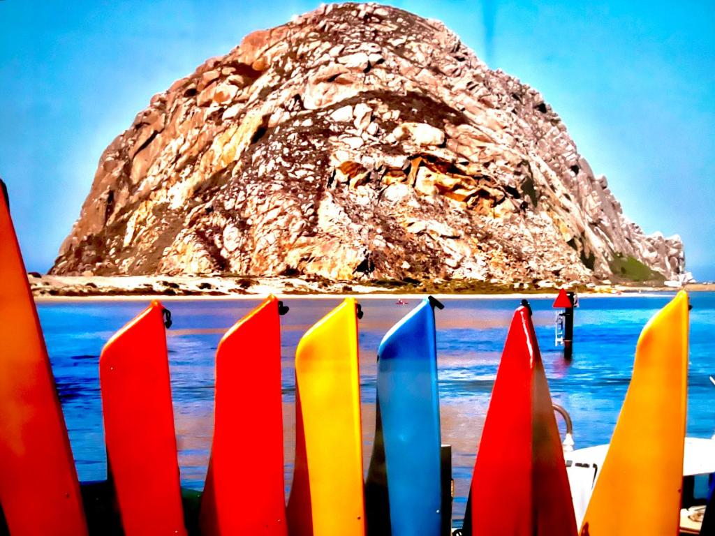 莫罗贝Morro Bay Beach Inn的山前的一组色彩缤纷的冲浪板