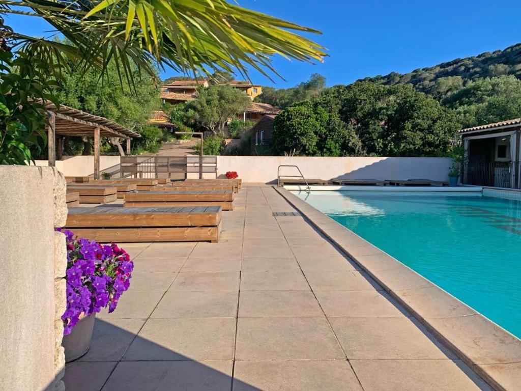 博尼法乔摩尔拉乡间酒店的一个带木长椅和紫色花卉的游泳池