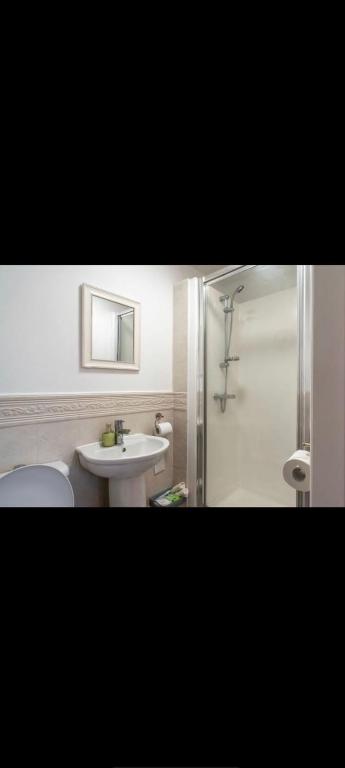 卡斯尔福德Glasshoughton Platinum的浴室配有卫生间、盥洗盆和淋浴。