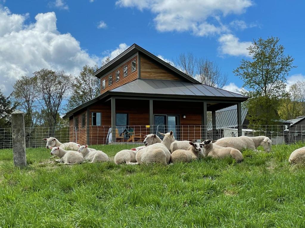 温莎Fat Sheep Farm & Cabins – 2024最新房价