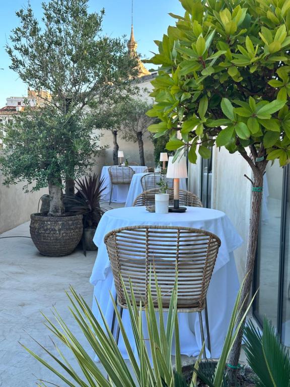萨拉戈萨阿维尼达酒店的树木繁茂的庭院里设有桌椅