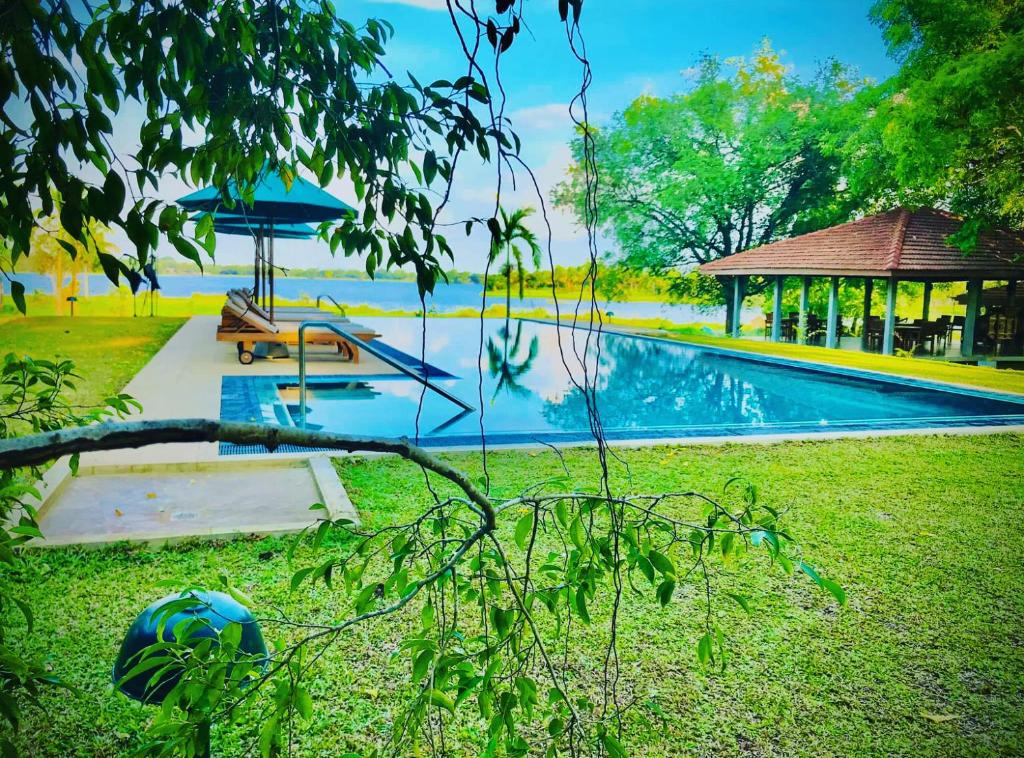 Gal Oya Lake Club的一个带凉亭的庭院内的游泳池
