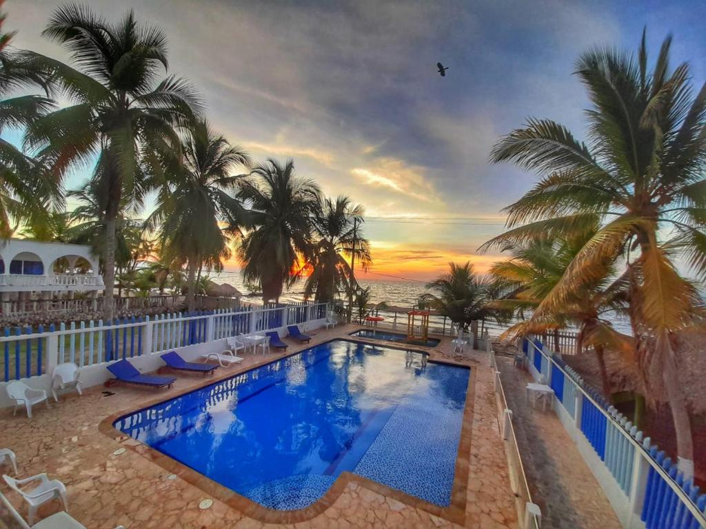 科韦尼亚斯Hotel Playarena的棕榈树和海洋的度假游泳池