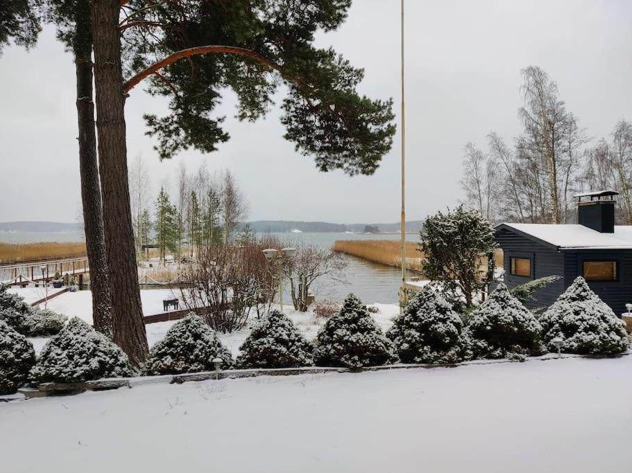 图尔库Cottage by the sea的被雪覆盖着的花园里,有树和房子