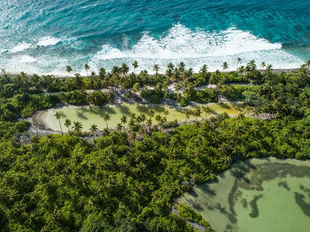 HithadhooMiyaheli Inn的享有树木繁茂的海滩和海洋的空中景致