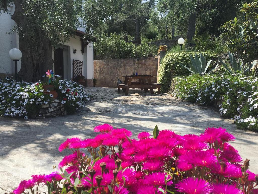 维耶斯泰Azienda Agricola B&B Macchiaria的一座公园,里面种着粉红色的花卉和木凳