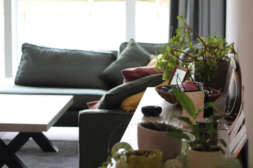 东代恩凯尔克Ruim nieuwbouwappartement oostduinkerke的客厅配有沙发和植物桌子