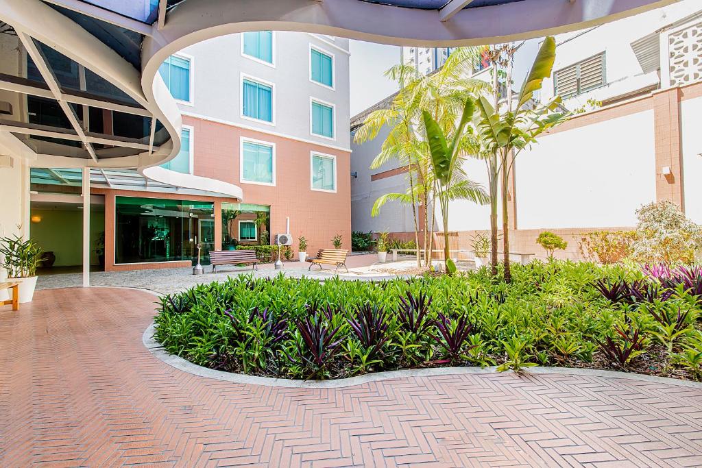 马瑙斯马瑙斯高旅馆的棕榈树和植物的建筑中的庭院