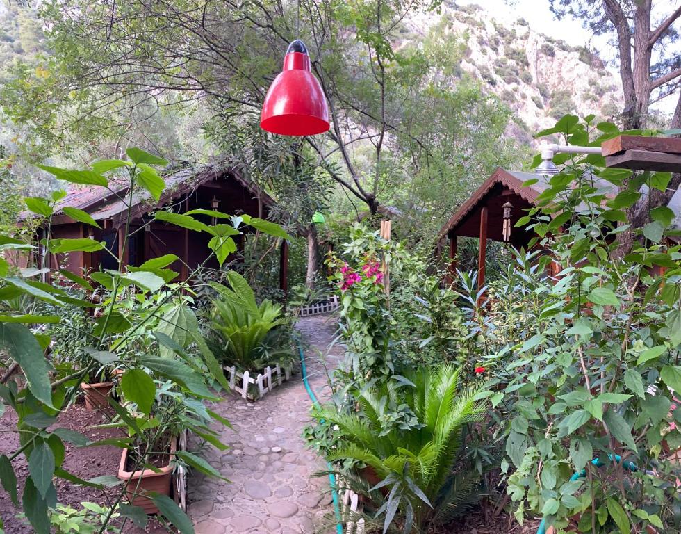 契拉勒Canario Bungalows的花园上挂着红灯,花园内种有植物