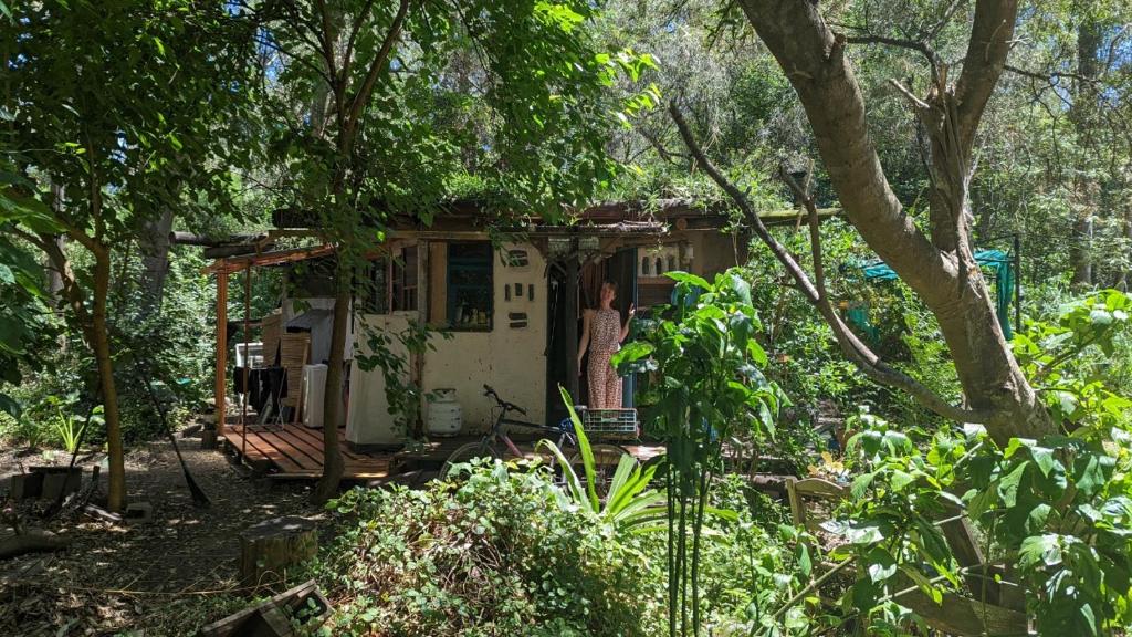圣安娜Tiny home hexagonal de barro y techo vivo的站在树林里房子前面的女人
