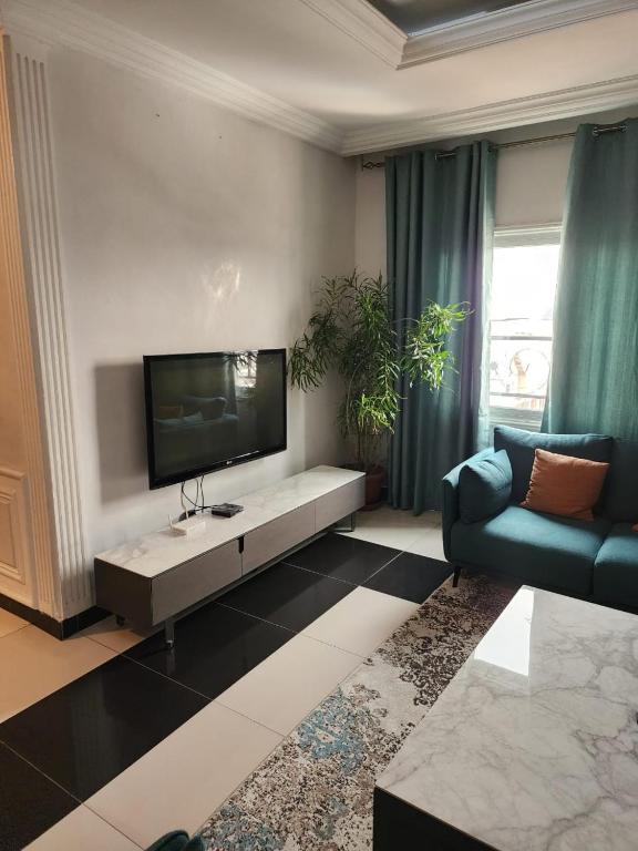 布拉柴维尔appartement nid的客厅配有平面电视和沙发。