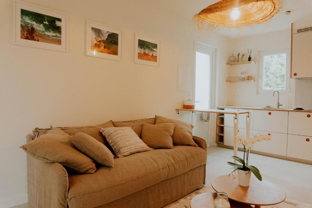 比达尔Studio Palmito的一间带棕色沙发的客厅和一间厨房