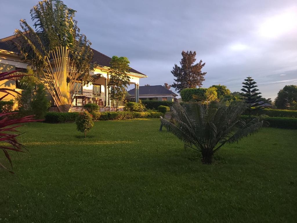 姆巴拉拉Orchard Home Homestay的一座带棕榈树绿色庭院的房子