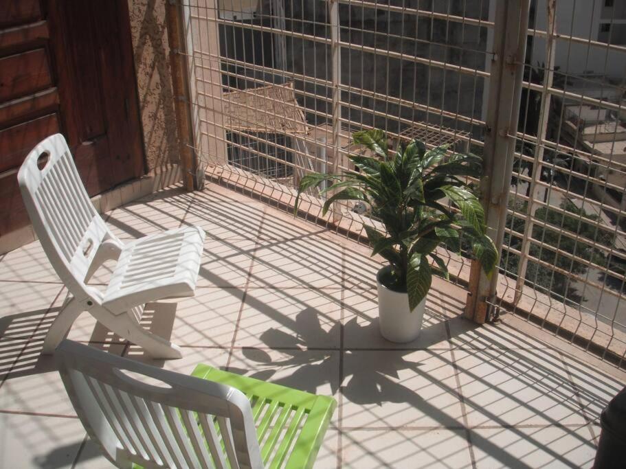 奥兰Bien situé T4 à Oran的门廊上两把椅子和盆栽植物
