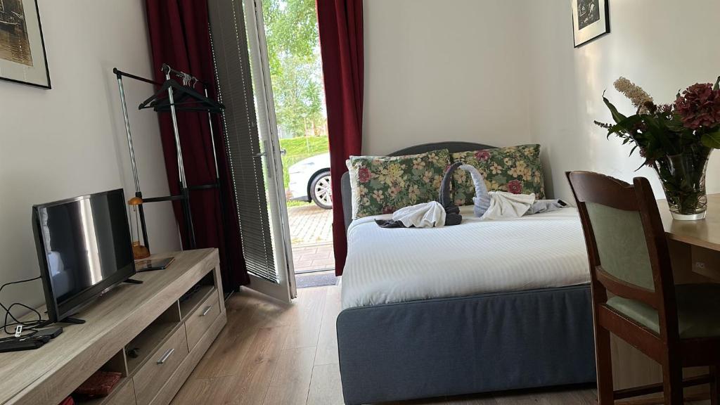 阿姆斯特丹Dubbelink 3A的一间卧室设有一张床、一台电视和一个窗口。