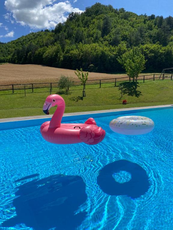 马拉迪Agriturismo Popolano Di Sotto的游泳池里漂浮着粉红色的火烈鸟