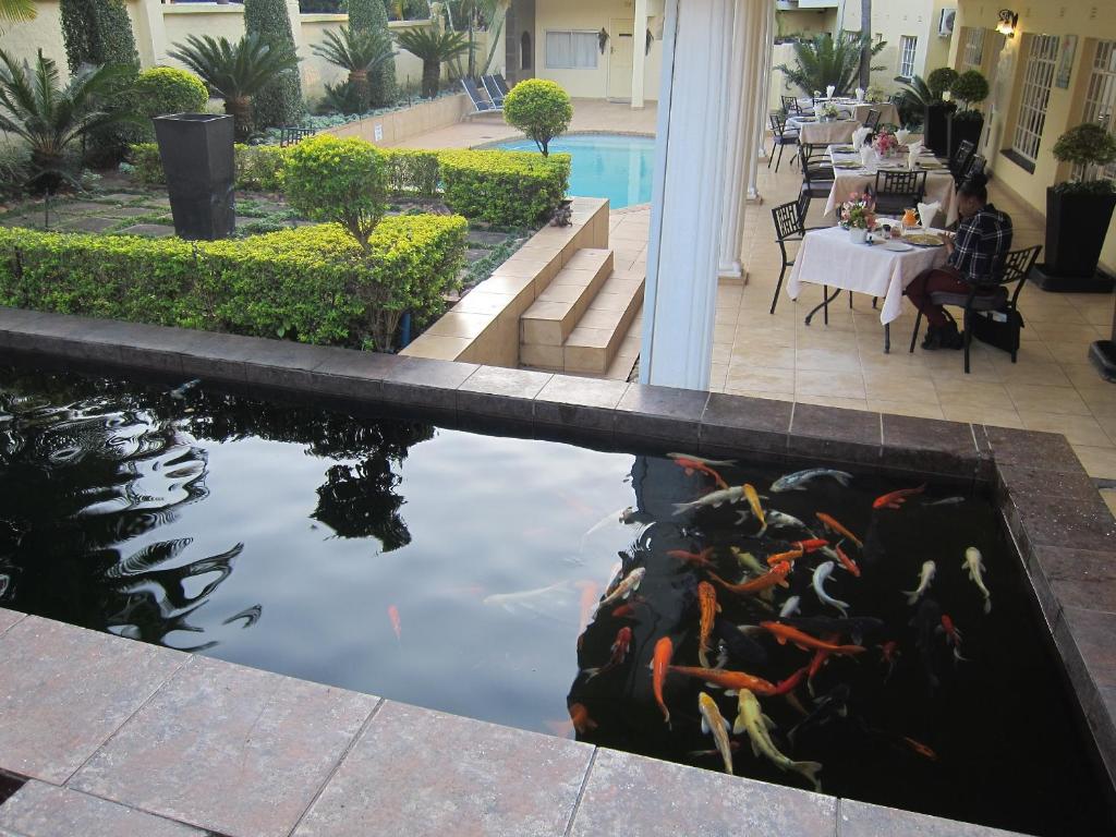 察嫩拉巴露恩旅馆的一座酒店庭院里的锦 ⁇ 池