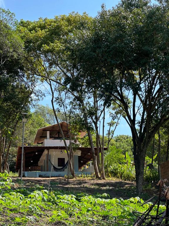 卡博迪圣阿戈斯蒂尼奥Flat Recanto da Natureza的树木林立的田野中的房子