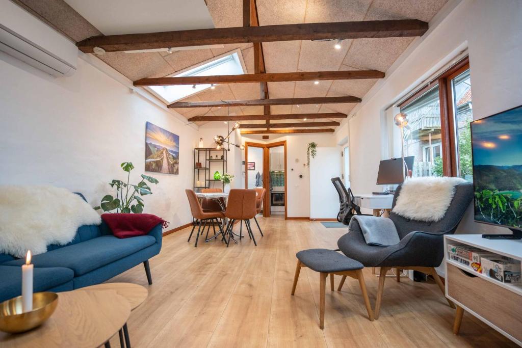 霍森斯New Cozy Central Scandinavian Skylight House的客厅配有蓝色的沙发和椅子