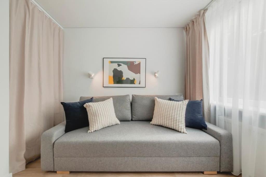 维尔纽斯Apartment in Žvėrynas的客厅配有带枕头的灰色沙发