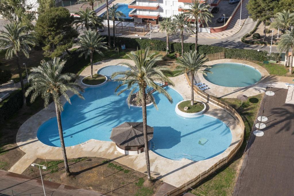库列拉Florazar 2, Iv-14-C的两座棕榈树泳池的顶部景色