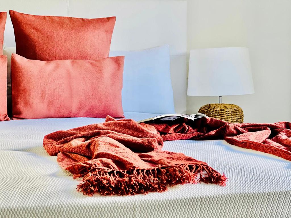 普拉亚布兰卡Canaryislandshost l Room的床上铺着红毯