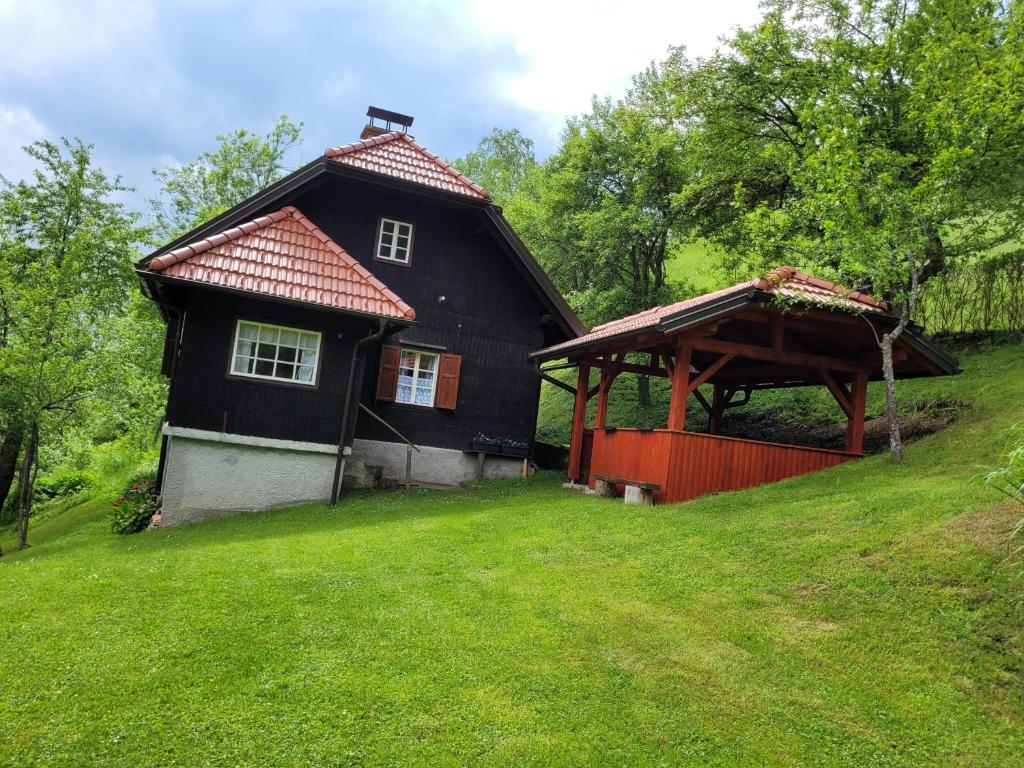 MislinjaHIŠKA SILVA的山上有红色屋顶的黑色房子