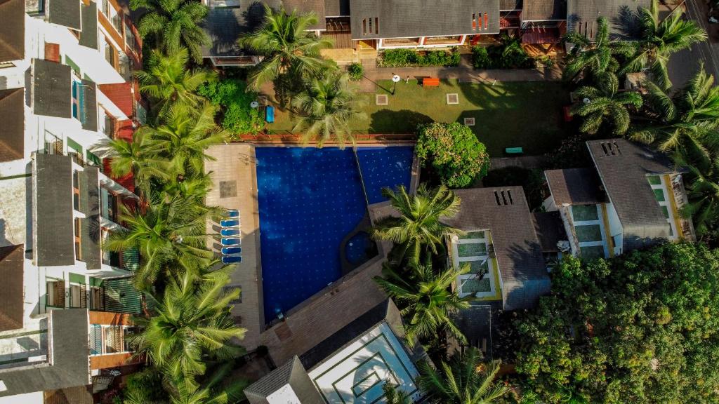巴加Goa Chillout Apartment - 1BHK, Baga的享有棕榈树游泳池的顶部景致