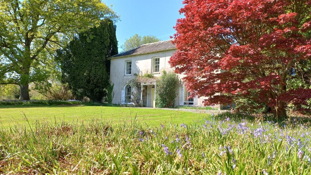 兰彼得Gelly Dylan Thomas Paradise的院子里的白色房子,有树木和鲜花