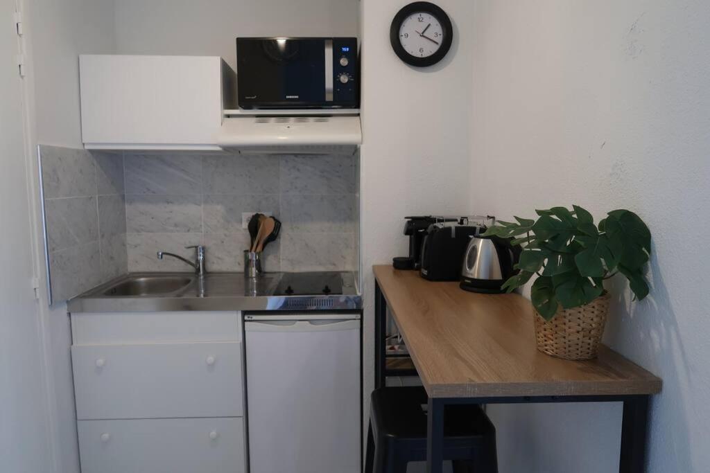 格勒诺布尔Studio Gare, Europole的厨房配有水槽和墙上的时钟