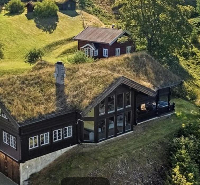 Noresund"SoFly Lodge", Charm and Elegance的草屋顶房屋的图象