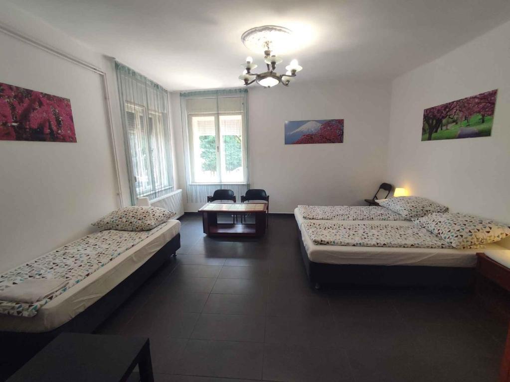 巴拉顿诺尔马迪Apartment in Balatonalmadi 45314的客房设有两张床和吊灯。