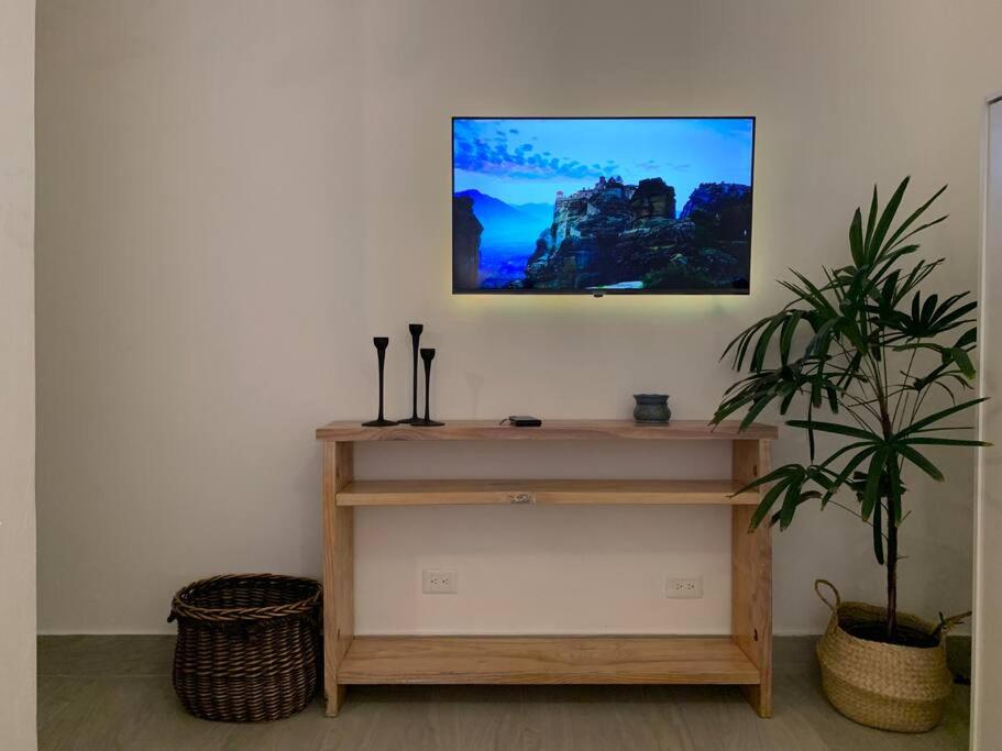 蓬塔卡纳Cozy Apartment at The Village的挂在架子上墙上的电视机,上面有植物