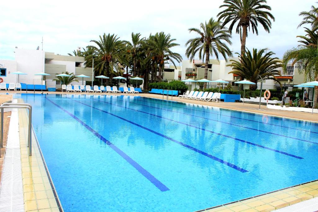 德尔锡伦西奥海岸Ke Casetta Tenerife的一个带椅子和棕榈树的大型游泳池