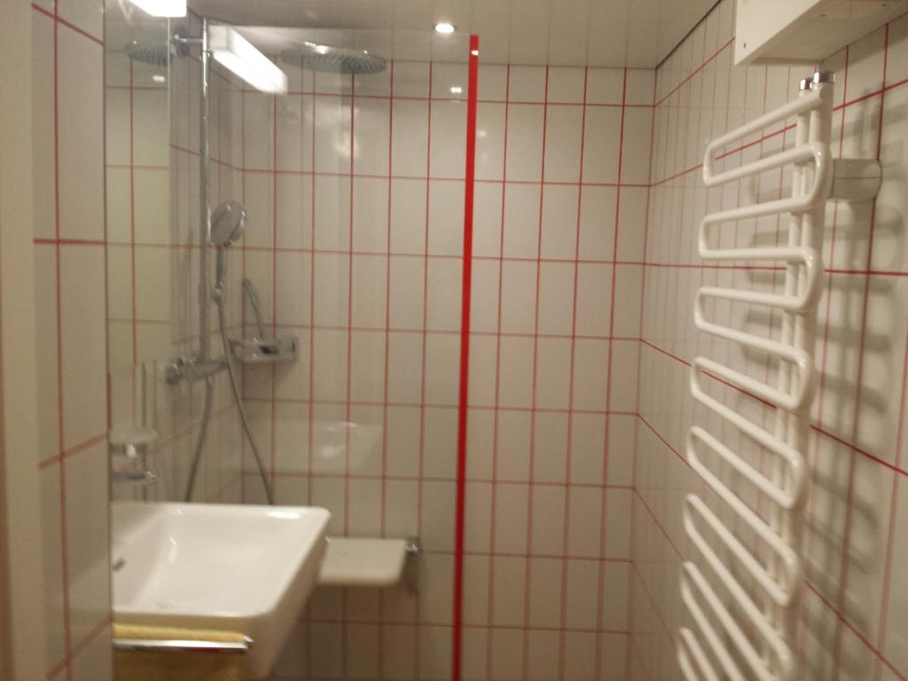 阿彭策尔Ferienzimmer Appenzell的一间带水槽和淋浴的浴室