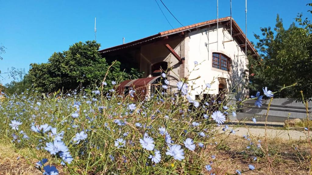 埃尔瓦Albergue & Cafetería Vía de la Plata Hervás的一座建筑前面有花田