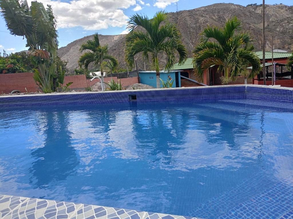 伊瓦拉Villas Norita的一座种有棕榈树和山脉的大型蓝色游泳池